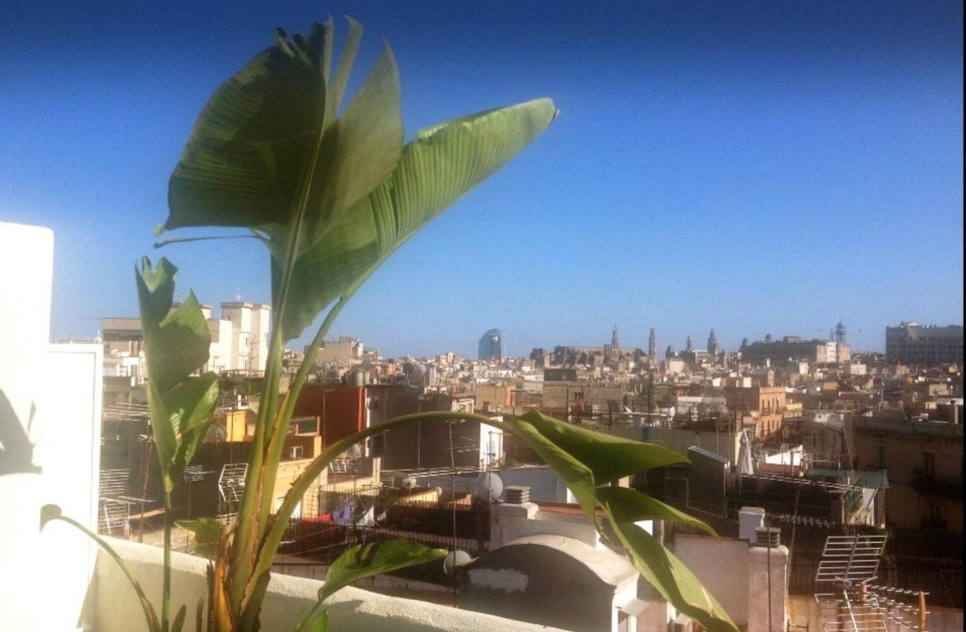 Outdoor Bathtub! 360 Rooftop With Chill Out And Amazing Views! Apartamento Barcelona